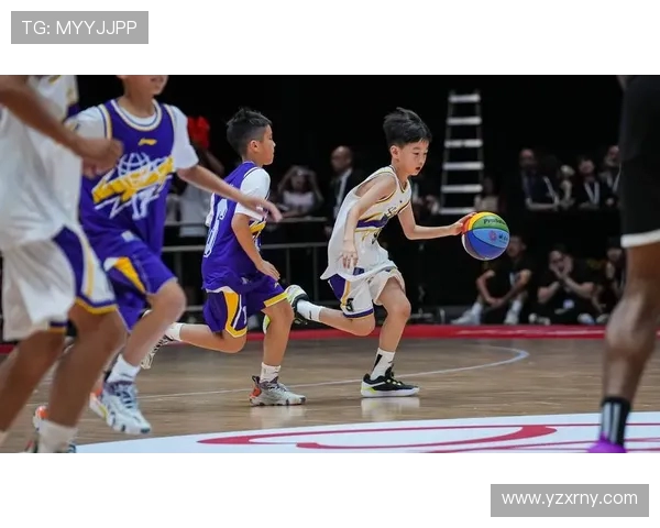 篮球梦与现实的碰撞 从业余爱好者到职业运动员的成长之路 篮球梦与现实的碰撞 从业余爱好者到职业运动员的成长之路