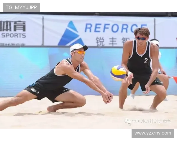 南京排球队大满贯点评：团队配合展现实力与默契的完美结合