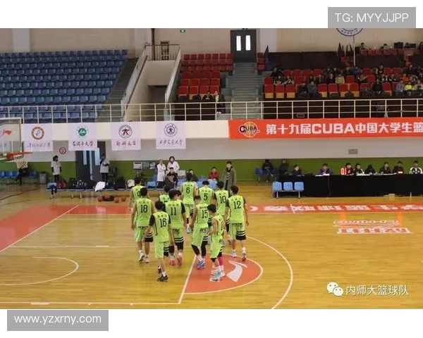 南京羽毛球队成长之路：从默默无闻到辉煌成就的纪实故事