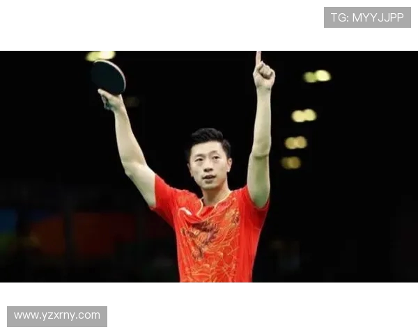 乒乓球运动的魅力与技术发展探索：从基础技巧到竞技水平的全面提升